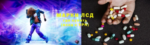 ГАЛЛЮЦИНОГЕННЫЕ ГРИБЫ Горно-Алтайск