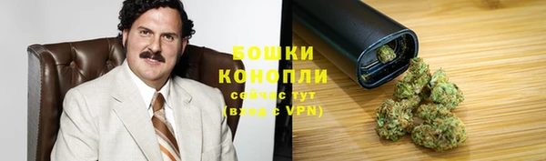 ГАЛЛЮЦИНОГЕННЫЕ ГРИБЫ Горно-Алтайск
