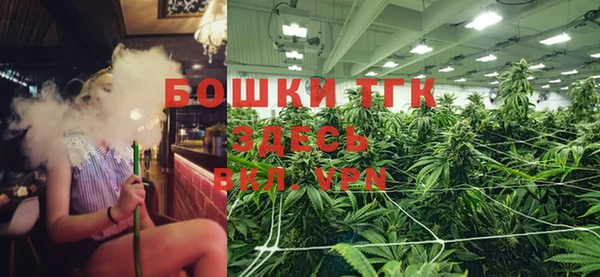 ГАЛЛЮЦИНОГЕННЫЕ ГРИБЫ Горно-Алтайск