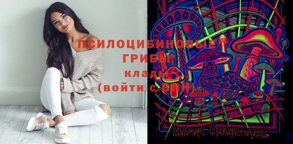 MDMA Гусиноозёрск