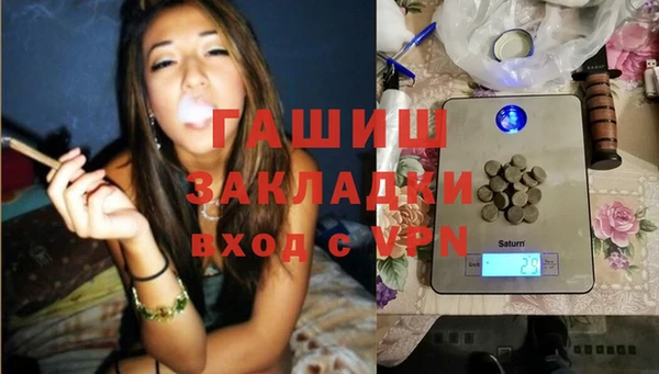 ГАЛЛЮЦИНОГЕННЫЕ ГРИБЫ Горно-Алтайск