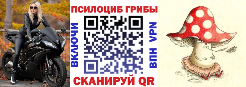 Галлюциногенные грибы GOLDEN TEACHER  OMG tor  Великий Новгород 